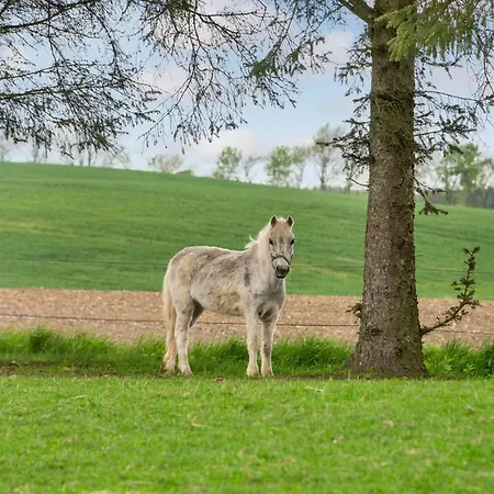 度假居 Cozy In With Wifi Rødekro