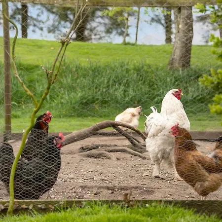 Cozy In With Wifi 度假居